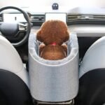 Boîte de siège de sécurité portable pour animaux de compagnie, console de contrôle, accent, siège de voiture pour chien, accoudoir de voiture, boîte en peluche épaisse pour petit chien, chat, voyage