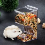 Distributeur de Nourriture en Plastique Transparent pour Hamster et Lapin, Filles existent pour Animaux de Compagnie, Cochons d'Inde
