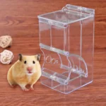 Distributeur de Nourriture en Plastique Transparent pour Hamster et Lapin, Filles existent pour Animaux de Compagnie, Cochons d'Inde