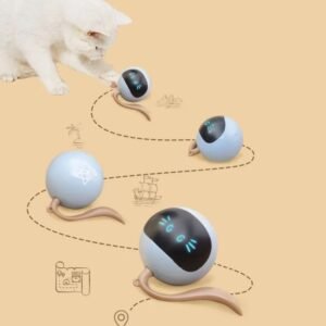 Jouet coule intelligent automatique pour animaux de compagnie, boule LED colorée, jouets auto-rotatifs, aste par USB, boule électronique pour chaton