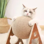 Planche à gratter Interactive pour chat, jouet pour chaton, boule en Sisal, pattes à gratter, animaux de compagnie
