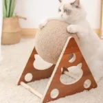 Planche à gratter Interactive pour chat, jouet pour chaton, boule en Sisal, pattes à gratter, animaux de compagnie