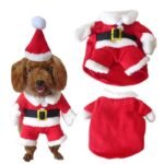 Vêtements de noël pour animaux de compagnie, veste chaude avec capuchon pour chien, chiot, chat, hiver