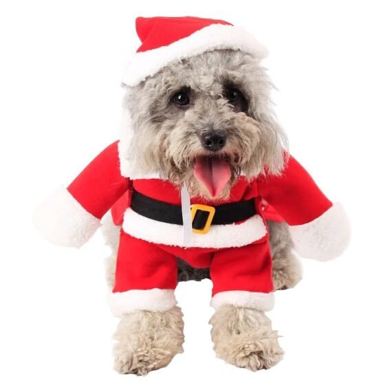 Vêtements de noël pour animaux de compagnie, veste chaude avec capuchon pour chien, chiot, chat, hiver