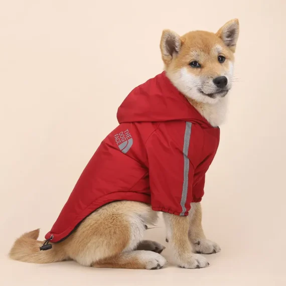 Veste à capuche en coton imperméable pour animaux de compagnie, manteau chaud, visage de petit chien, vêtements pour animaux de compagnie, coulée, automne, hiver